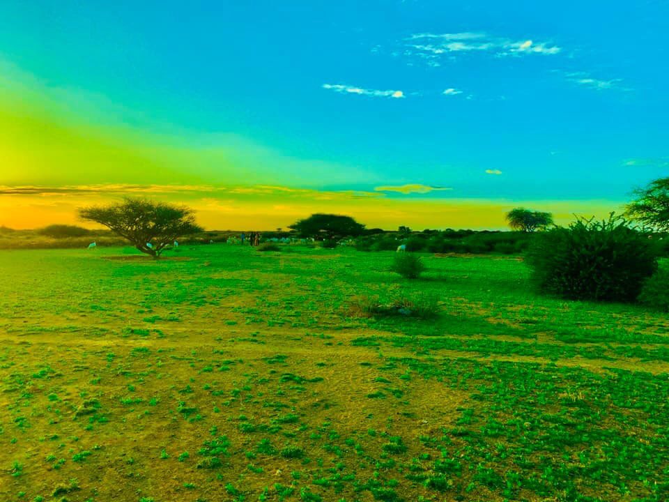 IMG_20201214_105846.jpg