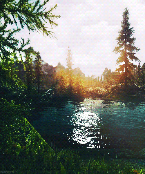 IMG_2044.gif