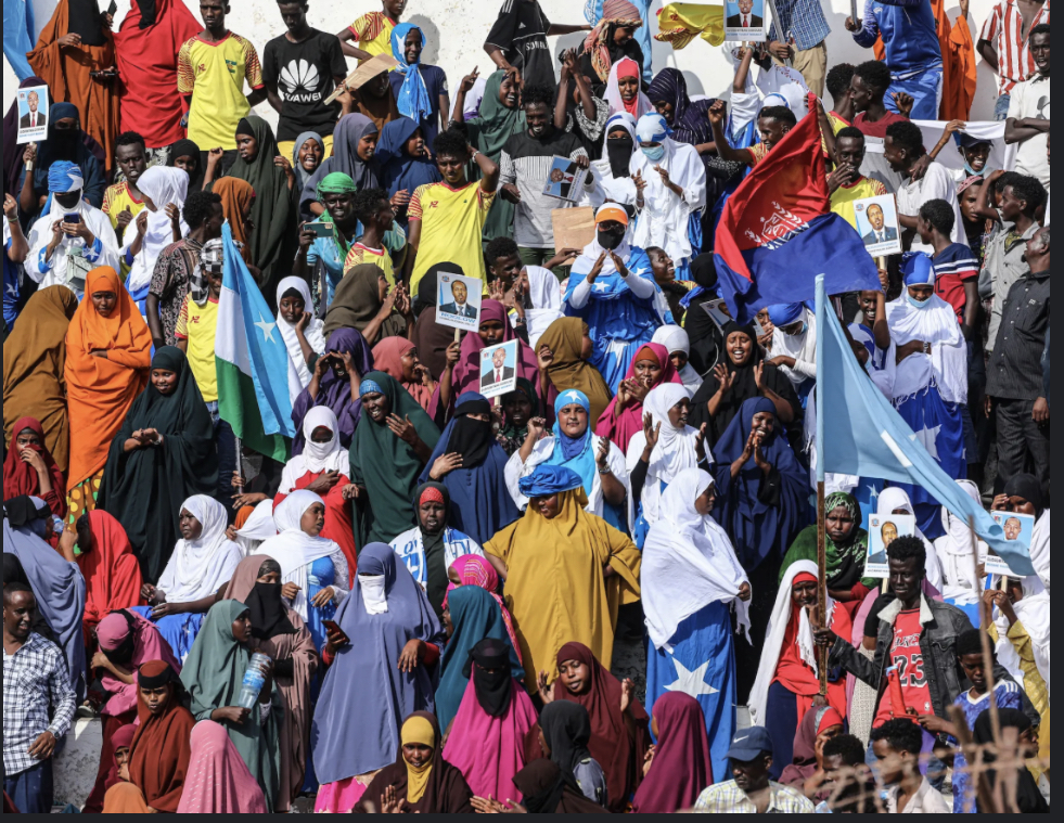 What Is The Largest Clan Family In The Somali? Unpacking A Complex Question