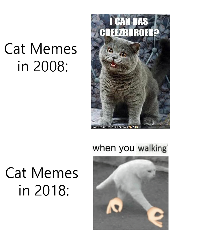 IMG_2764.PNG