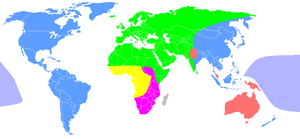 IMG_3108.PNG