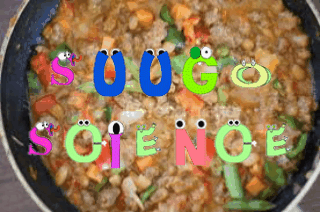 IMG_3246.GIF