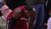 IMG_3250.gif
