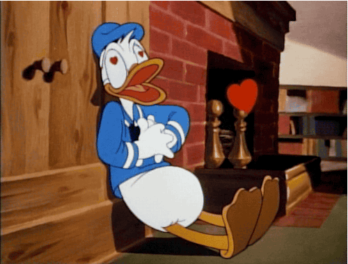 IMG_3668.GIF