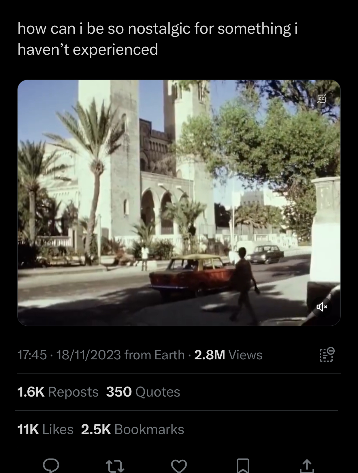 IMG_3911.jpeg