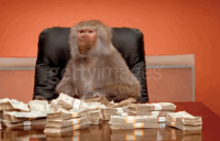 IMG_4077.GIF