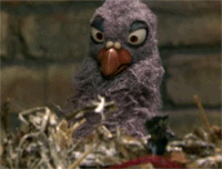 IMG_4301.GIF
