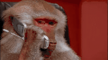 IMG_4332.GIF