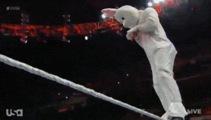 IMG_5441.GIF