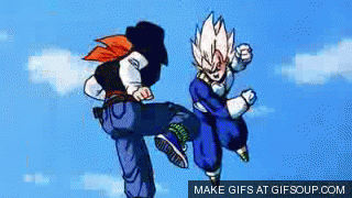 IMG_6061.GIF
