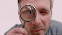 IMG_6291.GIF