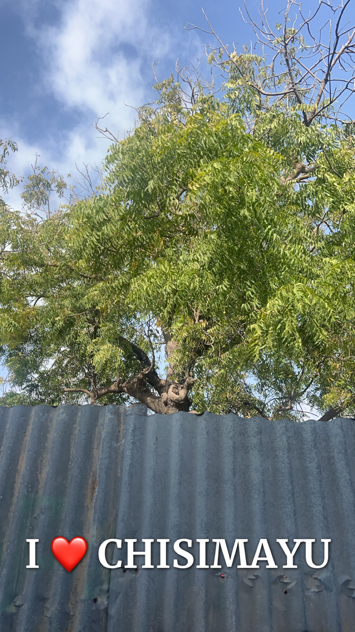 IMG_6388.jpeg