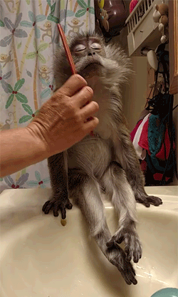IMG_6527.GIF