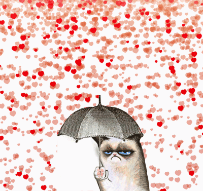 IMG_6664.GIF