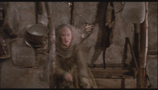 IMG_7356.GIF