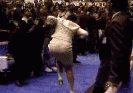 IMG_7385.GIF