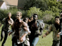 IMG_7923.GIF