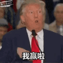 IMG_7993.gif