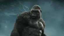IMG_8543.gif