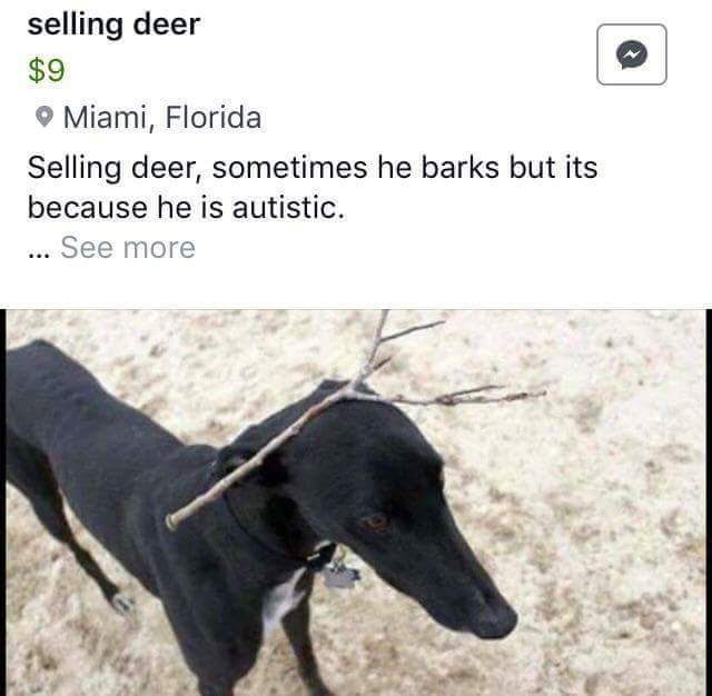 isM0DN0.jpg