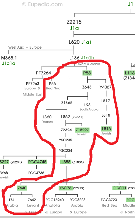 J1-P58-L147.1-L858-L859.png