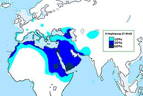 J1_Haplogroup_(Y-DNA).jpg