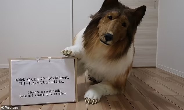japan-man-dog-1.jpeg