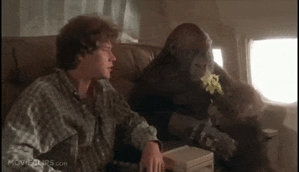JollyGivingFlounder-max-1mb.gif