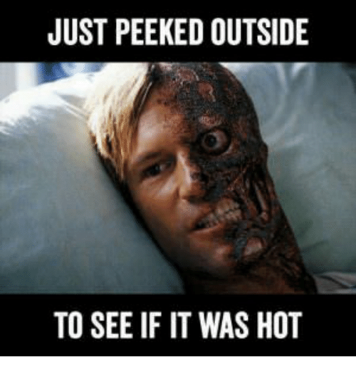 just-peeked-outside-to-see-if-it-was-hot-32315369.png