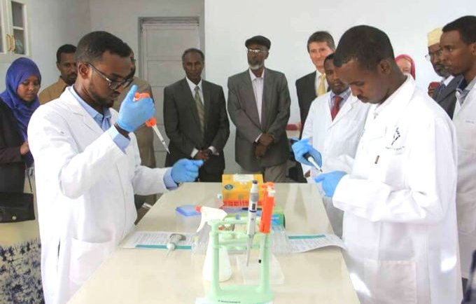 Lab technicians demonstrate on DNA testing (1).jpg
