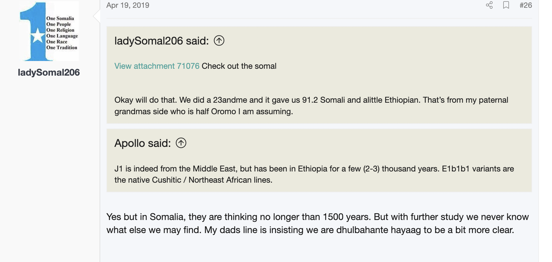 LadySomal 3.png
