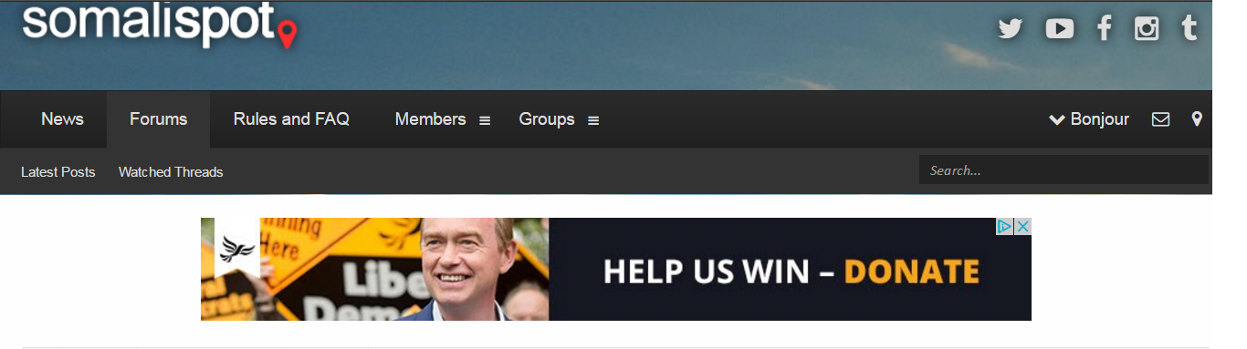 libdems.png