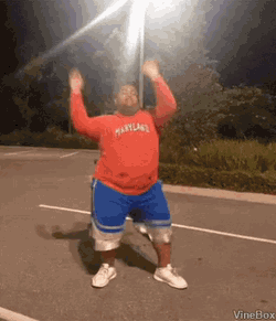 LightEasygoingDuckbillcat-small.gif
