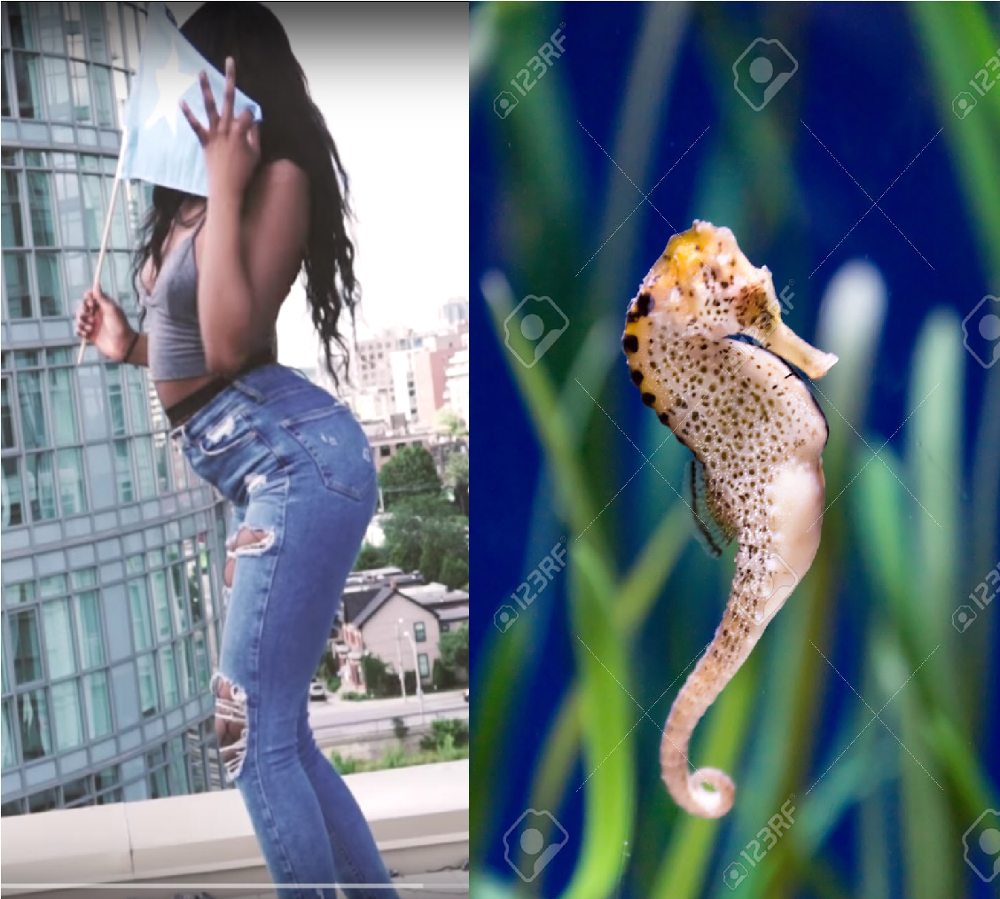 LOOOL.png