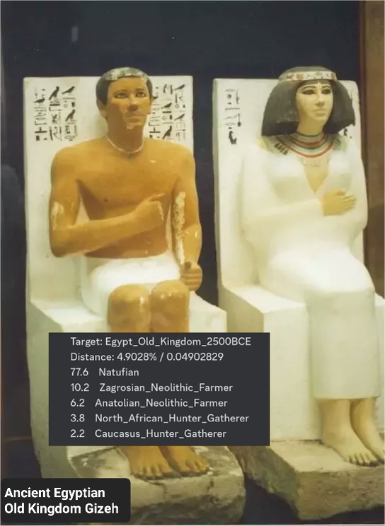 main-qimg-e77362301ed37579052e77db41306bfd.jpg