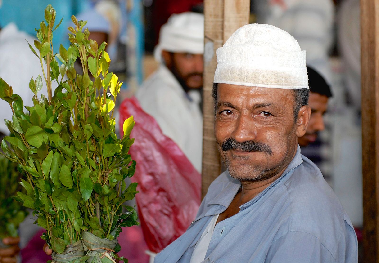 Man-bundles-khat-Lahij-Yemen.jpg