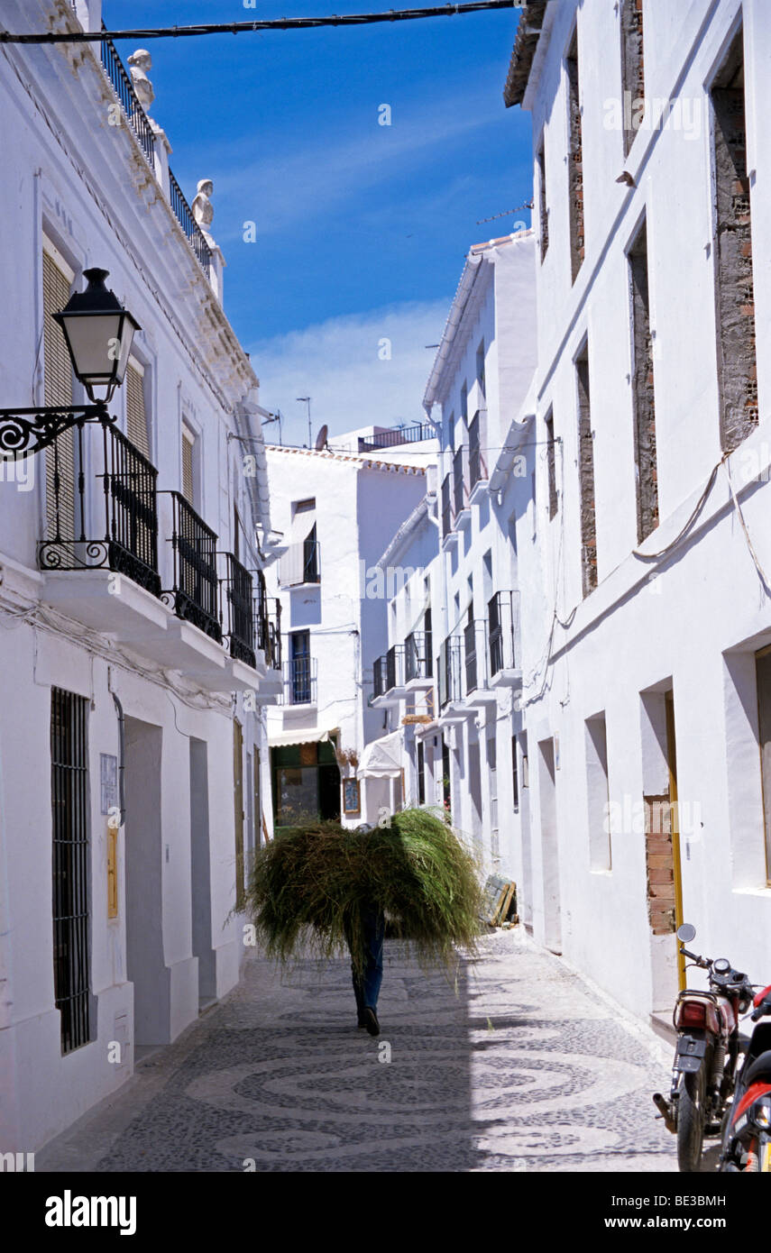 man-carrying-hay-among-white-buildings-white-towns-frigiliana-andalusia-BE3BMH.jpg