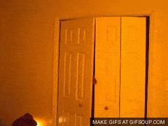 MealyDelightfulDrake-max-1mb.gif