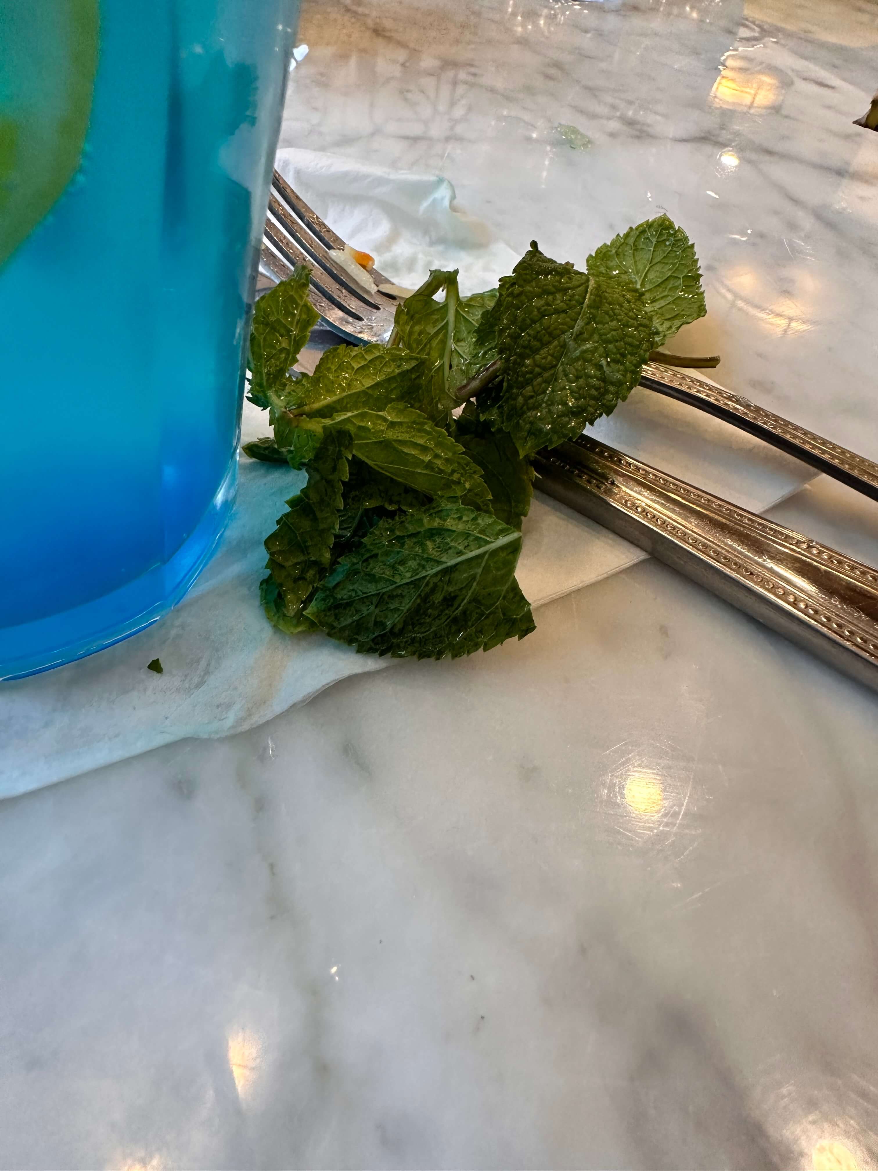 mint (1).jpg