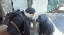 monkey-talk-monkey-kisarazu.gif