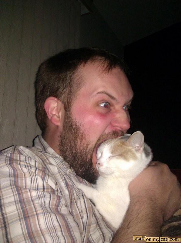 mymouthonmycat.jpg