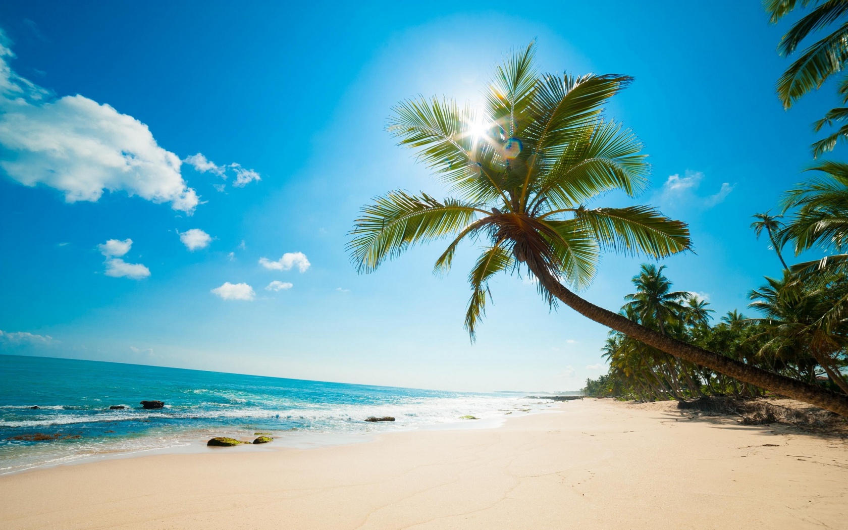 Nelson_Carvalheiro_Barbados-11.jpg
