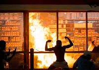 nigga-riot-shit.gif