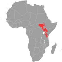 Nilotic_languages (1).png