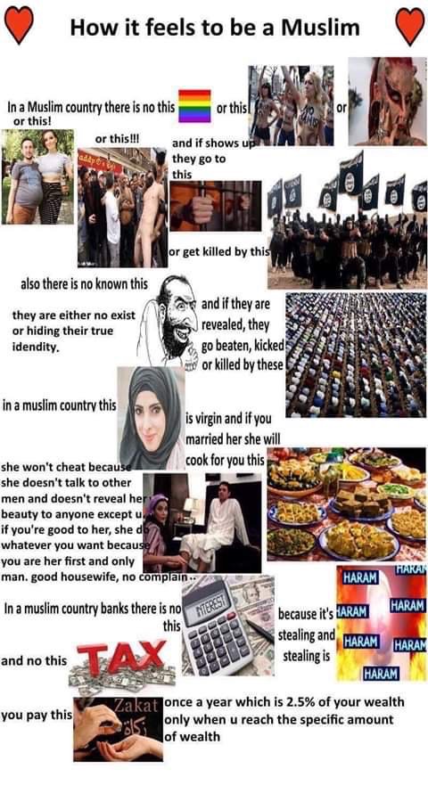 No tax.jpg