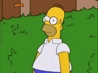 no_words_homer_into_brush.gif