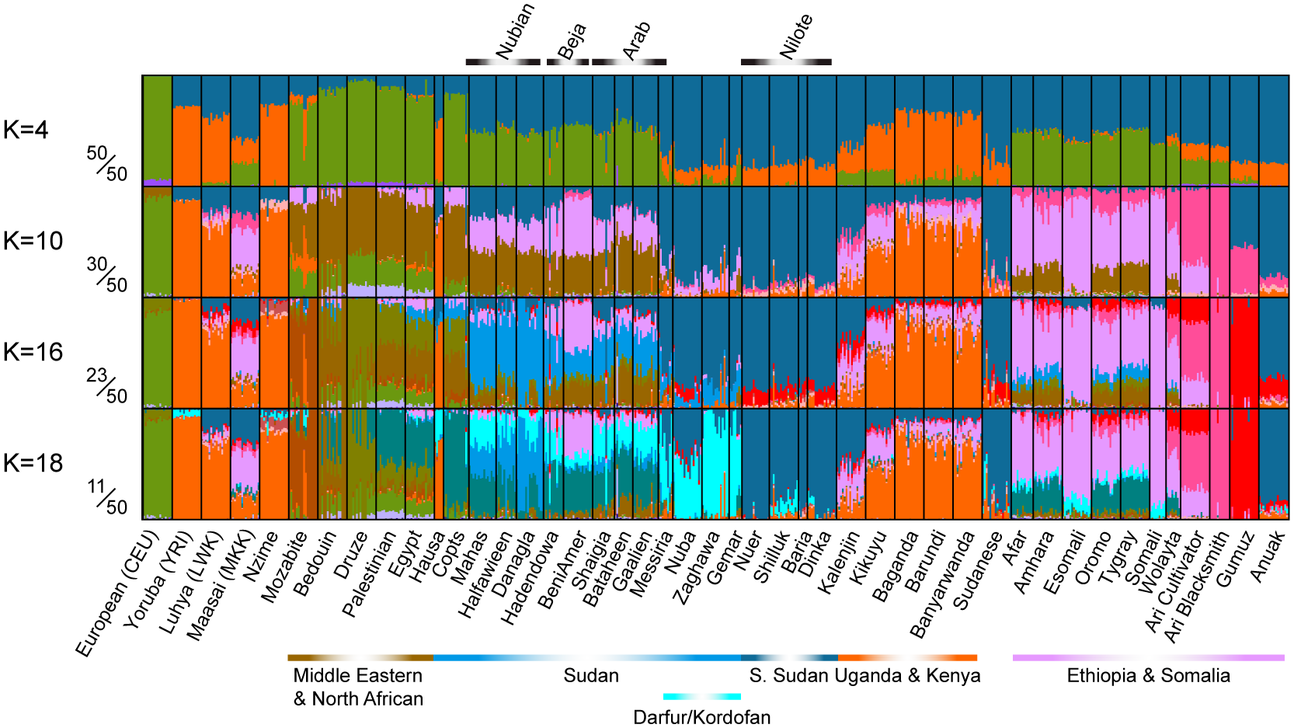 Northeast_African_genomic_variation_ADMIXTURE_plot.PNG