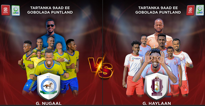 nugaa;_vs_haylaan.png