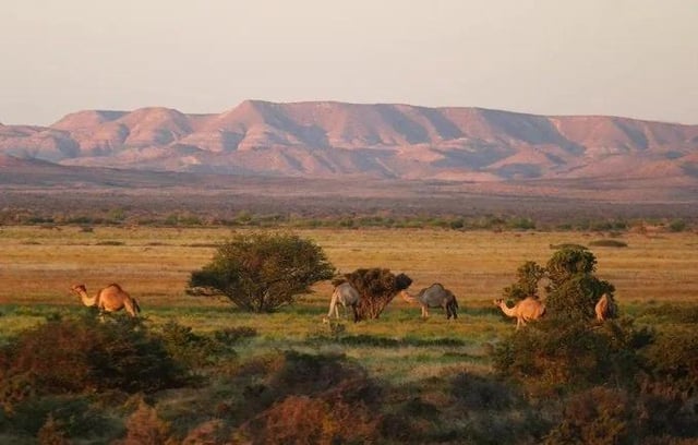 nugaal-valley-of-puntland-state-v0-wwzs1m7c2ane1.jpg