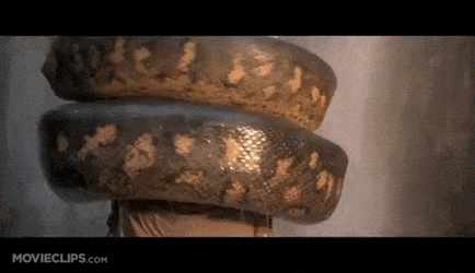 OblongWarmHerring-max-1mb.gif